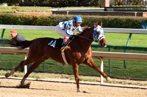Secretariat .